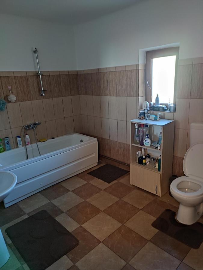 Central House Hotel Curtea de Argeş Екстериор снимка