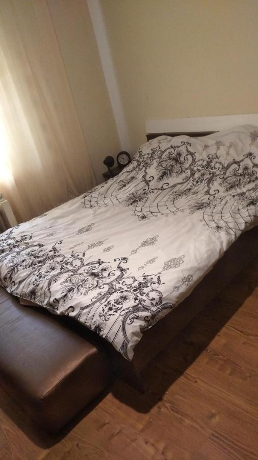 Central House Hotel Curtea de Argeş Екстериор снимка
